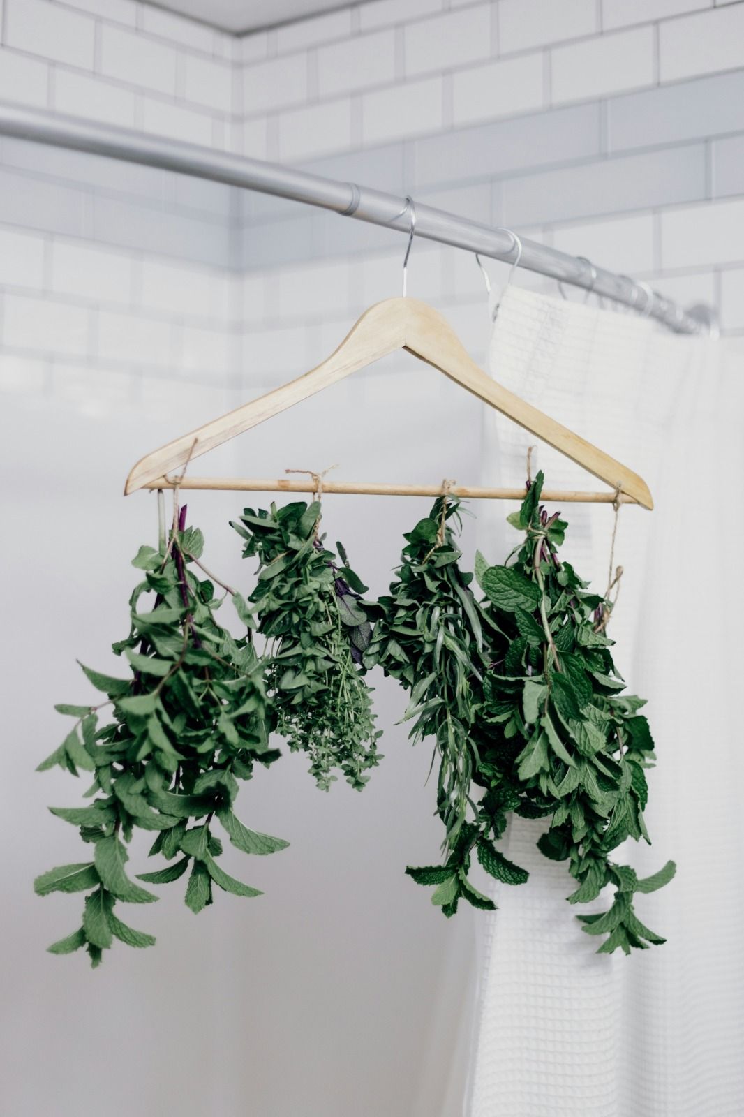 Natural dyes and fashion materials